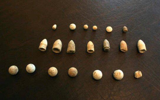 Excavated Civil War Artifacts associated with the Pea Ridge Campaign.