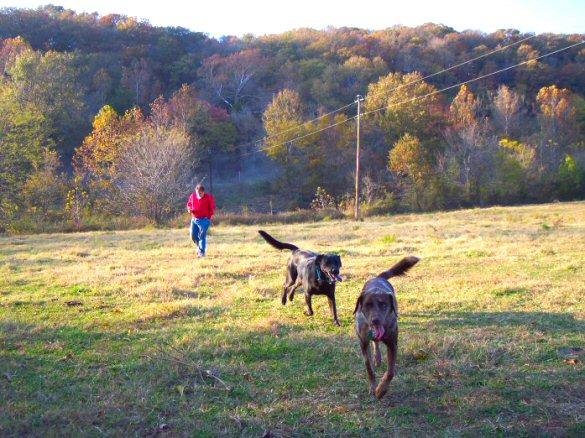 Relic Hunting Dogs