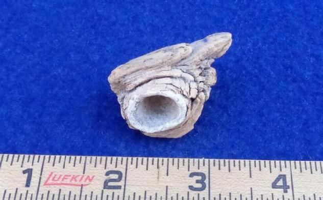 69 Caliber Conical Minie in Wood