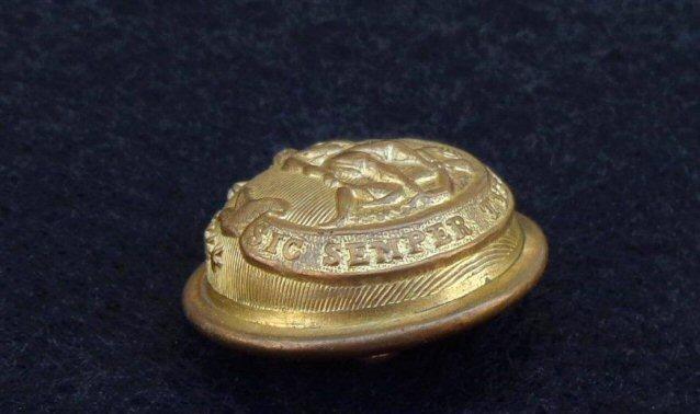 Very Fine Non Dug Civil War Period VA20 Virginia State Seal Staff Officer's Coat Button 