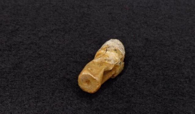 Fine Displaying Dug .58 Caliber Skin or Waterproof Cartridge 
