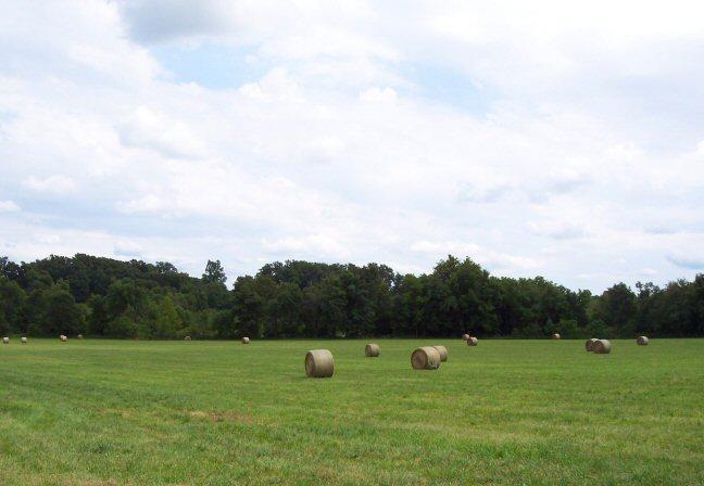 "YOU THINK we're running across that field, while you Dig Fired Bullets, Really !?! Come on Man, GET REAL !"