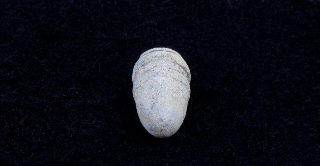 Nice Dropped Round Nose Variant of the .44 Caliber Slant Breech Sharps Bullet - MM197 - Recovered Pilot Knob, Missouri. 
