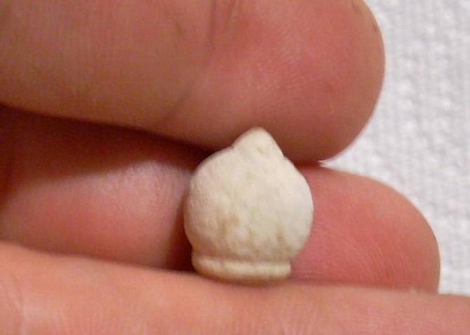 Close-up of Mark Daughtrey's strange bullet !