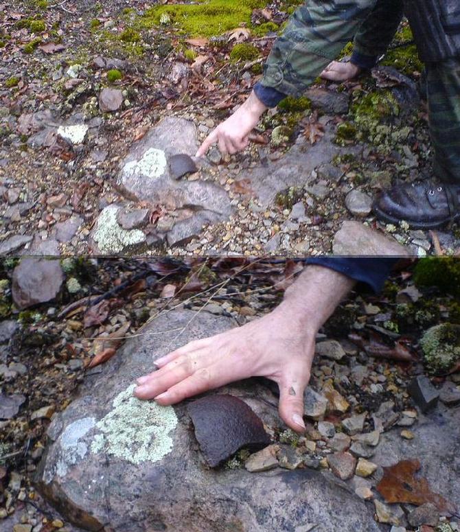 Shell Fragment eyeballed by Andrew Johnston